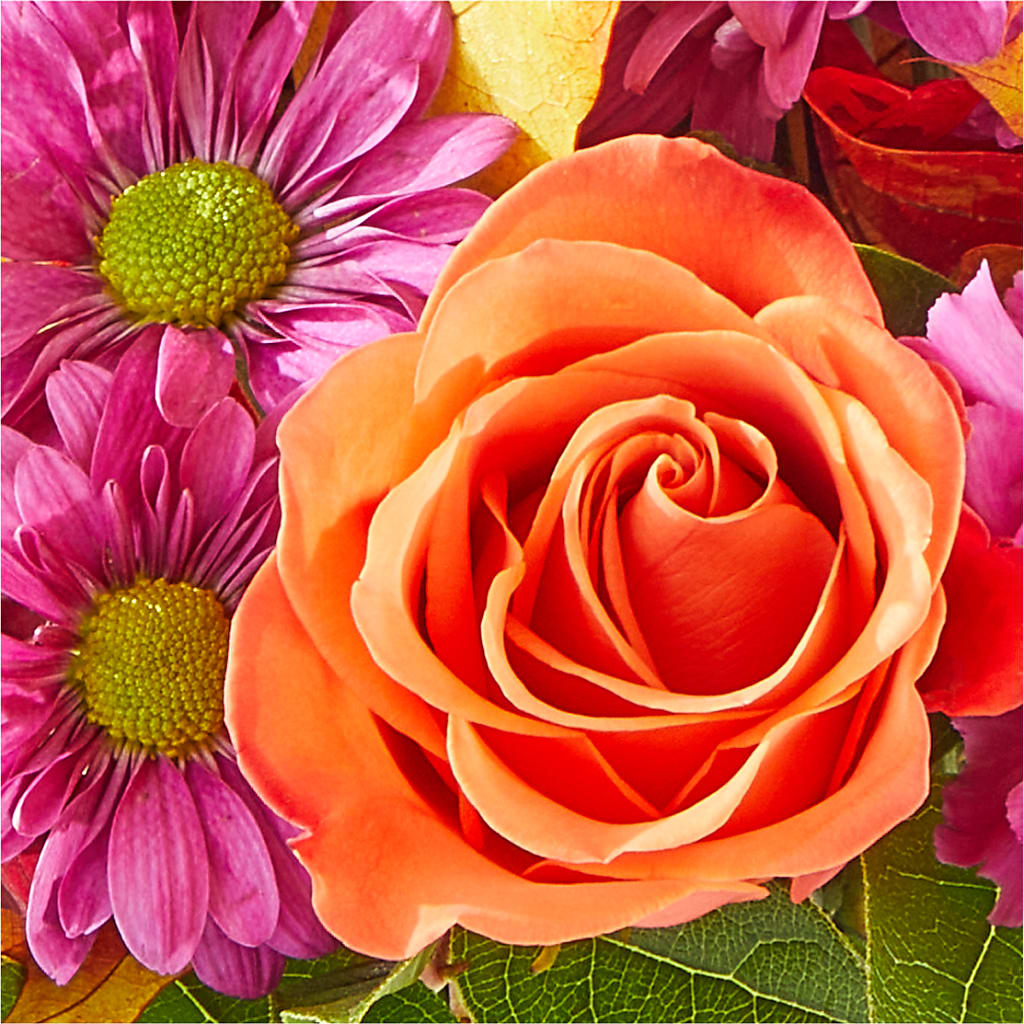 Mum's the Word Bouquet –  Pavilions, Pleasanton CA