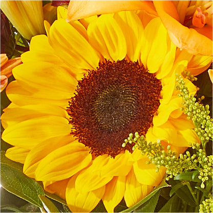 Seasons Change Bouquet –  Pavilions, Pleasanton CA