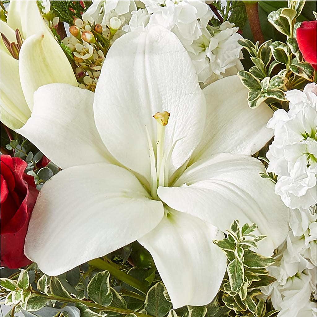 Twinkle Lights Bouquet –  Pavilions, Pleasanton CA