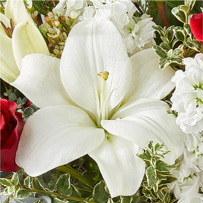 Twinkle Lights Bouquet –  Pavilions, Pleasanton CA