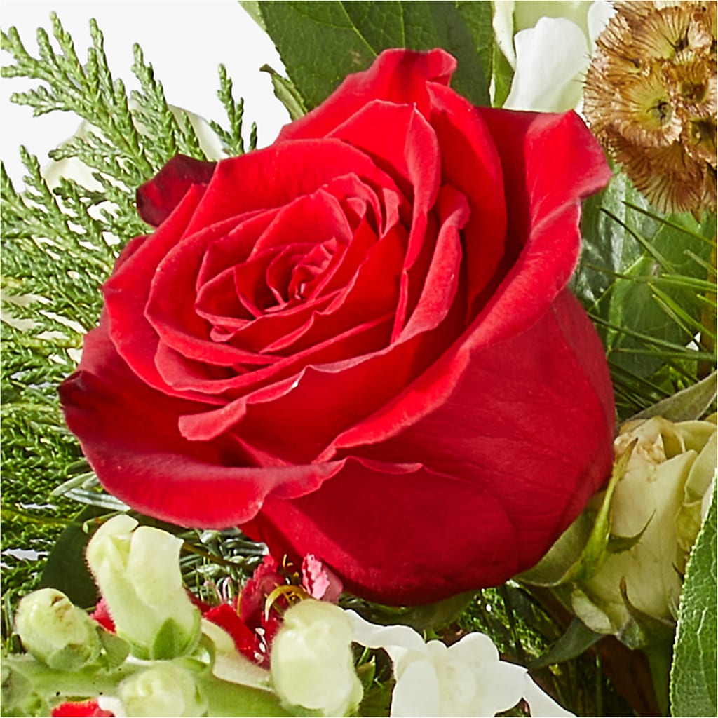 Deck the Halls Bouquet –  Pavilions, Pleasanton CA