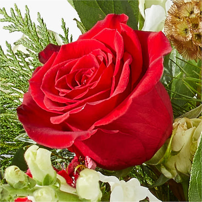 Deck the Halls Bouquet –  Pavilions, Pleasanton CA