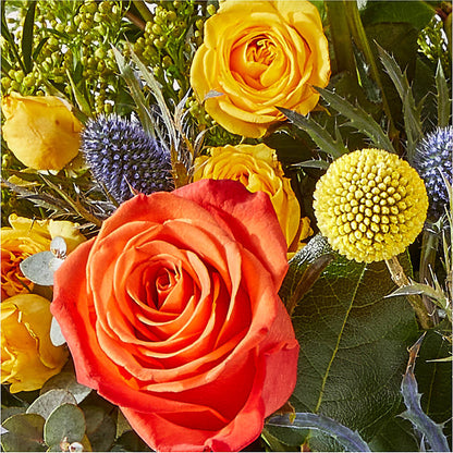 Disco Bouquet –  Pavilions, Pleasanton CA