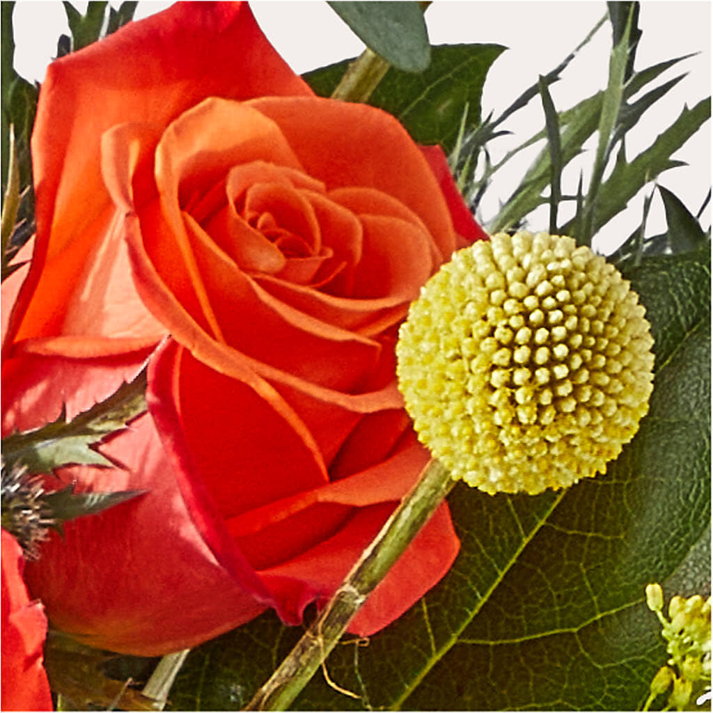 Disco Bouquet –  Pavilions, Pleasanton CA