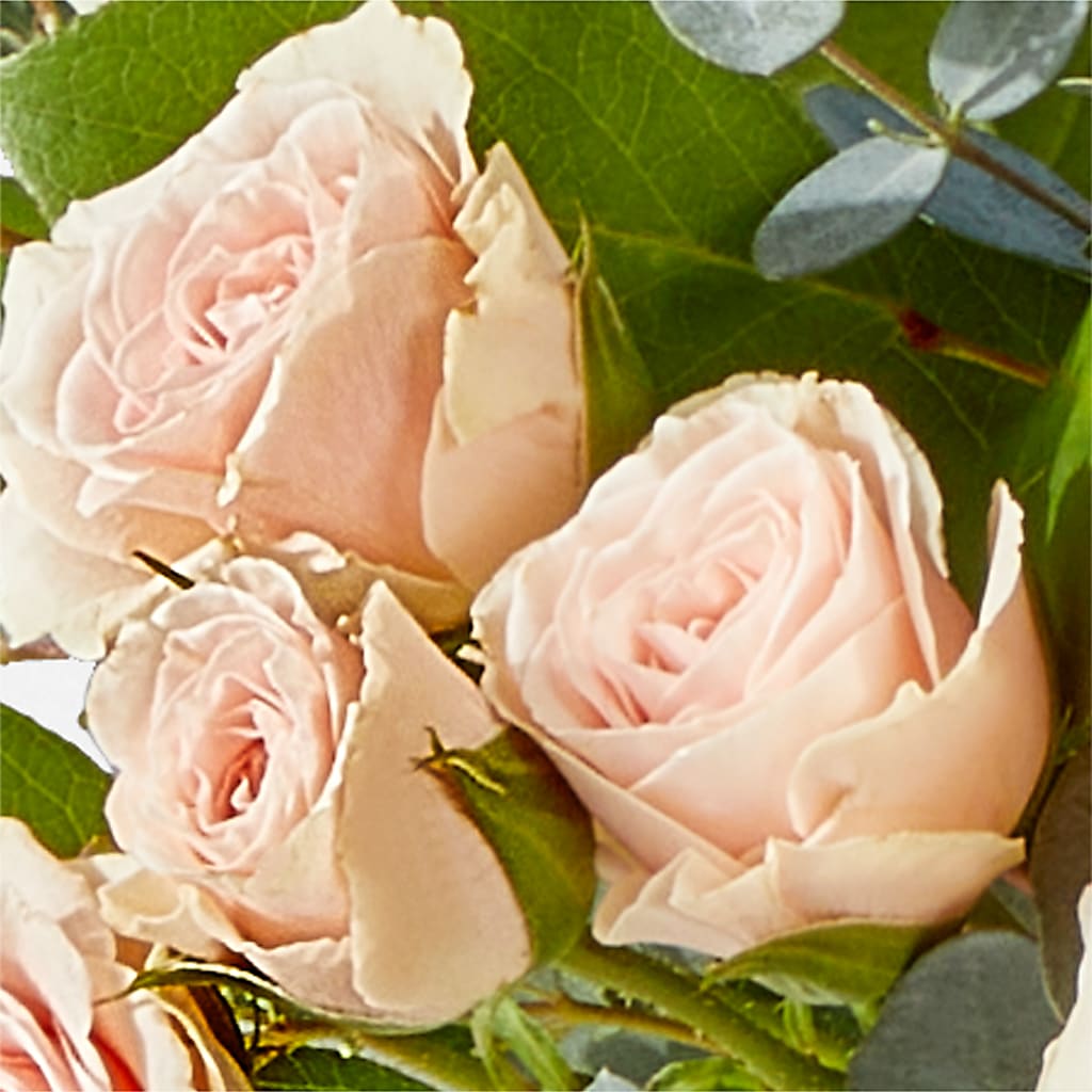 Inspired Bouquet –  Pavilions, Pleasanton CA