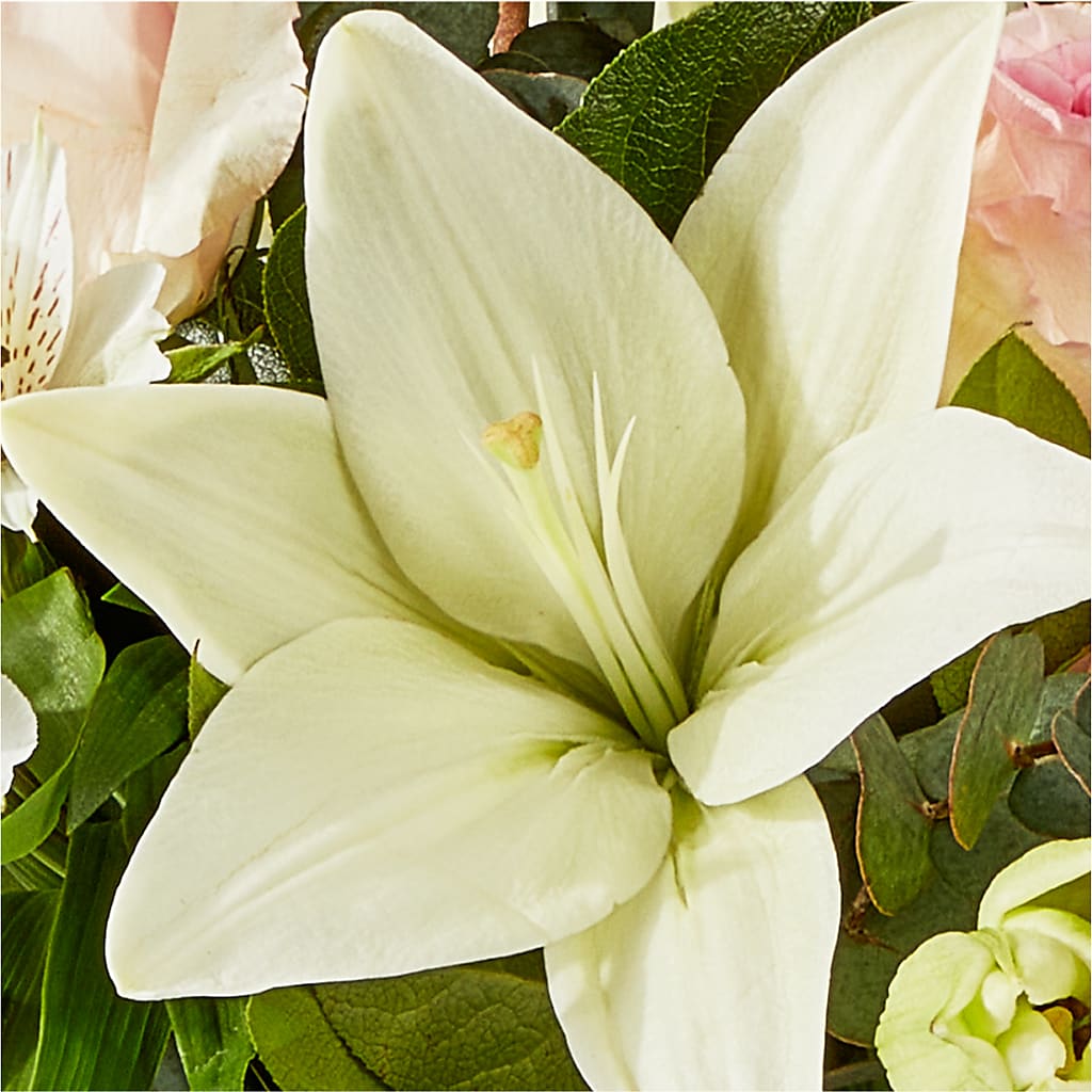 Ballet Slippers Bouquet –  Pavilions, Pleasanton CA