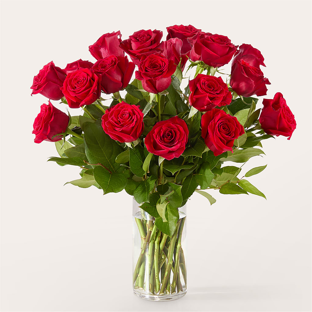 The One Red Rose Bouquet –  Pavilions, Pleasanton CA