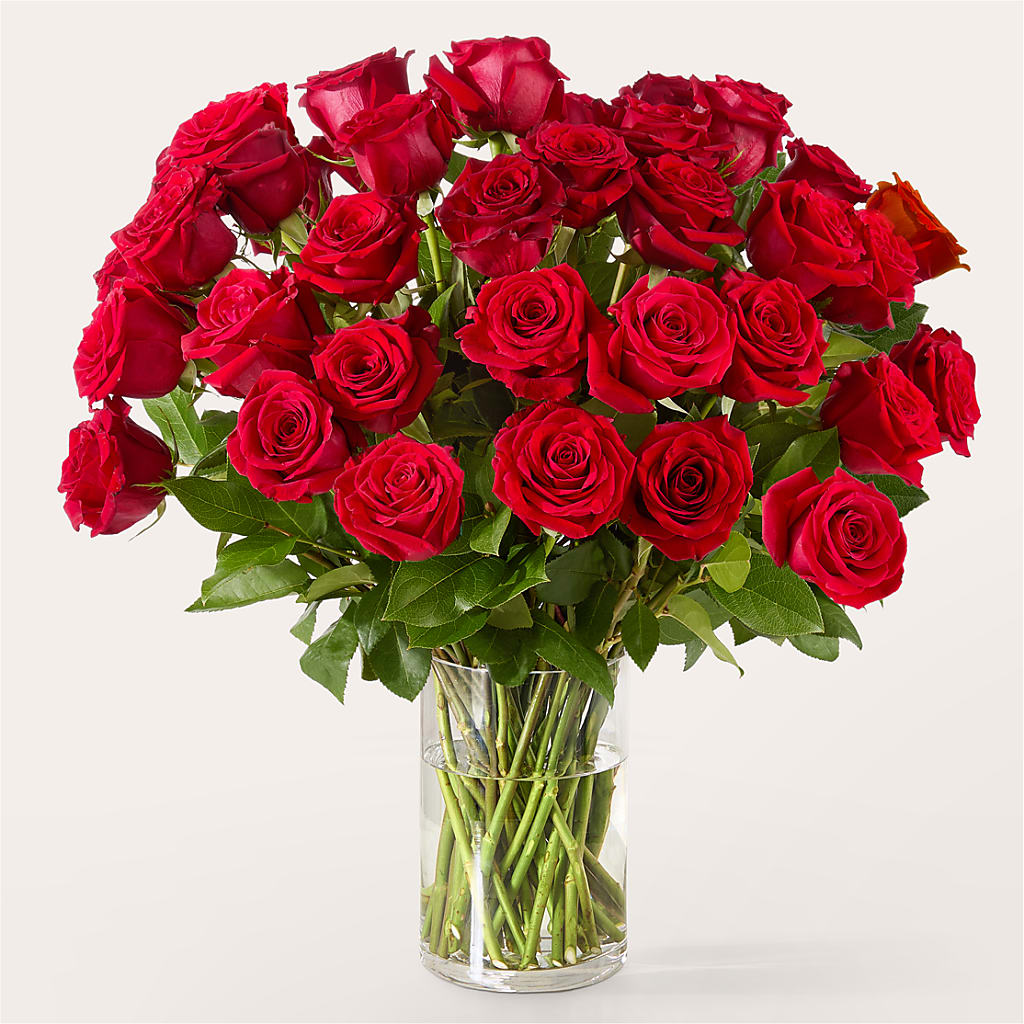 The One Red Rose Bouquet –  Pavilions, Pleasanton CA