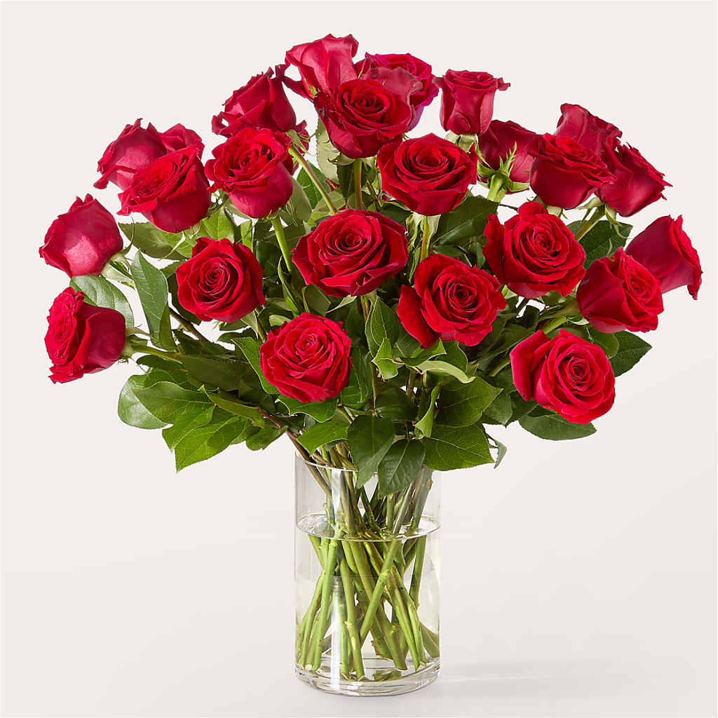 The One Red Rose Bouquet –  Pavilions, Pleasanton CA